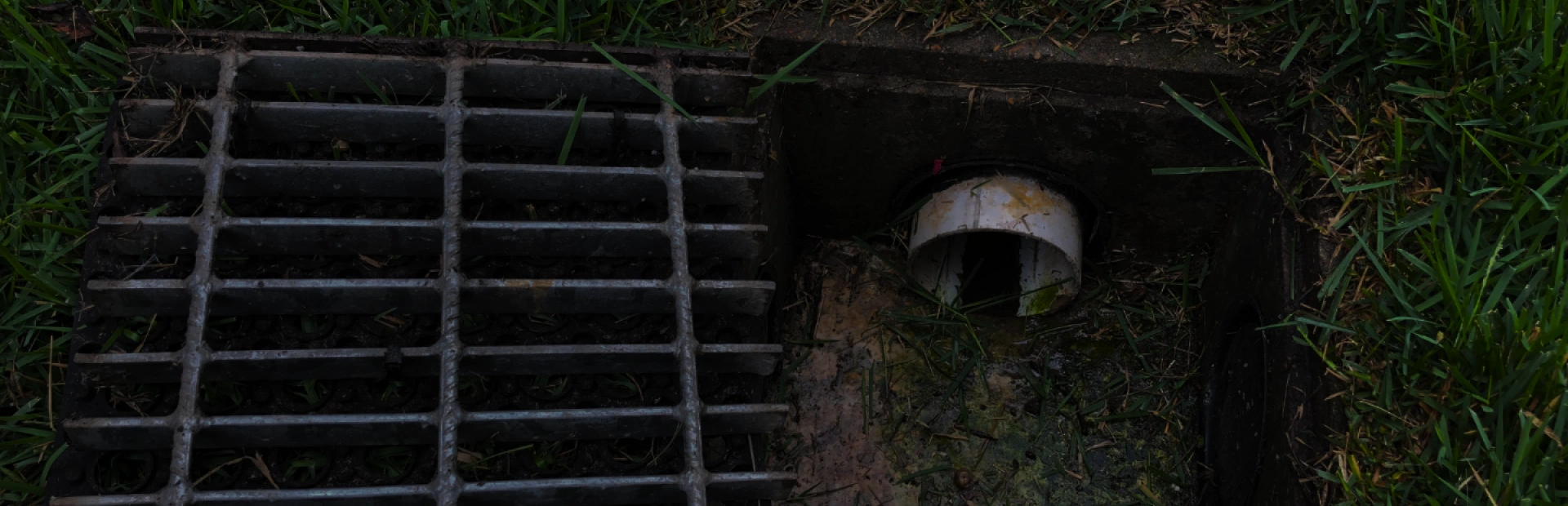 French Drains breadcrumb