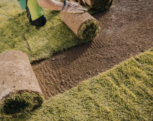 Sod Installation
